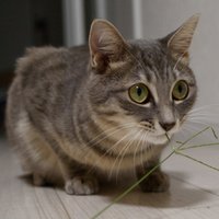 ちぃ (@enos500) 's Twitter Profile