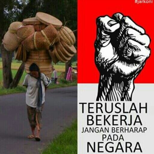 wish_nu23's profile picture. 