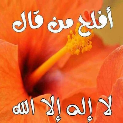 Khaled12332110's profile picture. 