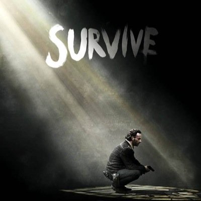 Fan of The Walking Dead, Marvel, Game Of Thrones, Breaking Bad, Boston Celtics and more