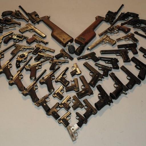 God, Family, Country…Pursue truth,       defend freedom #Liberterian! #2A #Christian #Freedom #Liberty #Prolife #ProIsrael #Trump