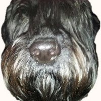 Bert de Graaf (@longbert) 's Twitter Profile