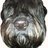 longbert's profile image