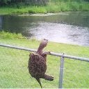 Gilberto Campos - @GcViper585 - Twitter