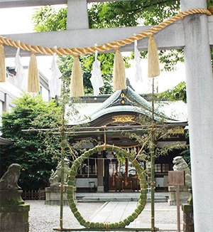 創立：正徳２年（1712年）
旧雑司が谷村の鎮守の神で氏神さまです。
例祭は９月１０日前後の土日
酉の市は１１月の酉の日。
ご祭神は日本武命です。