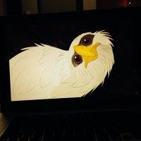 //JACKEMBLEM (@jackemblem) 's Twitter Profile Photo //JACKEMBLEM (@jackemblem) 's Twitter Profile Photo