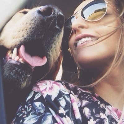 favoriteutweets's profile picture. 