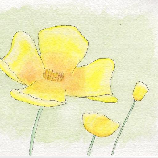 jasonrevillart's profile picture. 