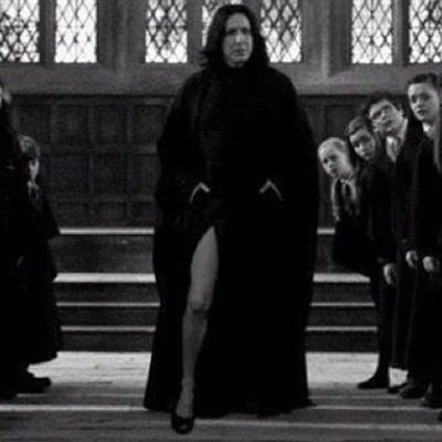 CheminDeTravers's profile picture. Je ne suis pas un hibou.