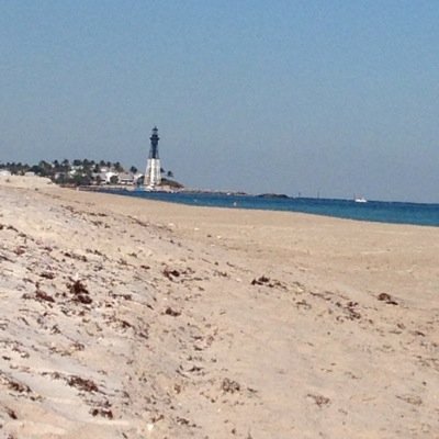 NancyEllman's profile picture. 