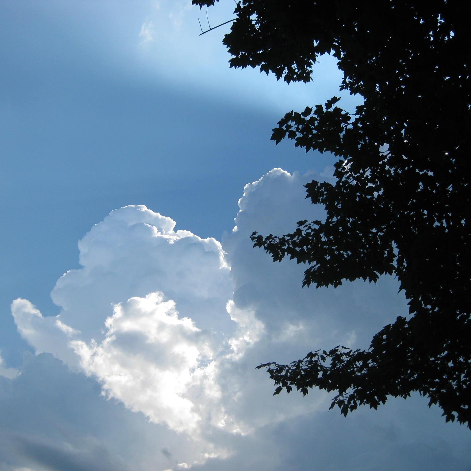 prophet_susan's profile picture. 