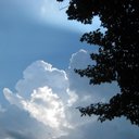 Susan Prophet - @prophet_susan - Twitter