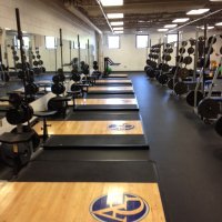 Bluejay Strength (@agweights) 's Twitter Profile Photo Bluejay Strength (@agweights) 's Twitter Profile Photo