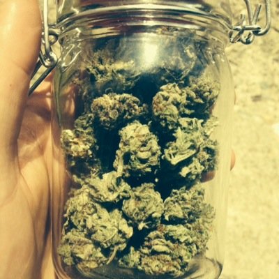 Puffin on Pounds