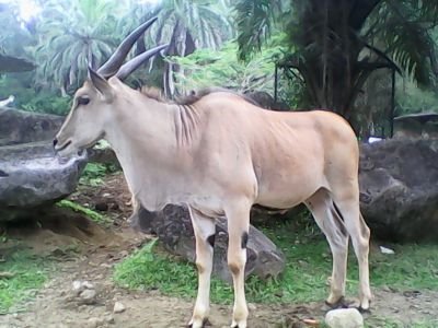 Orang biasa yg suka dengerin orang lain ngomong ;)