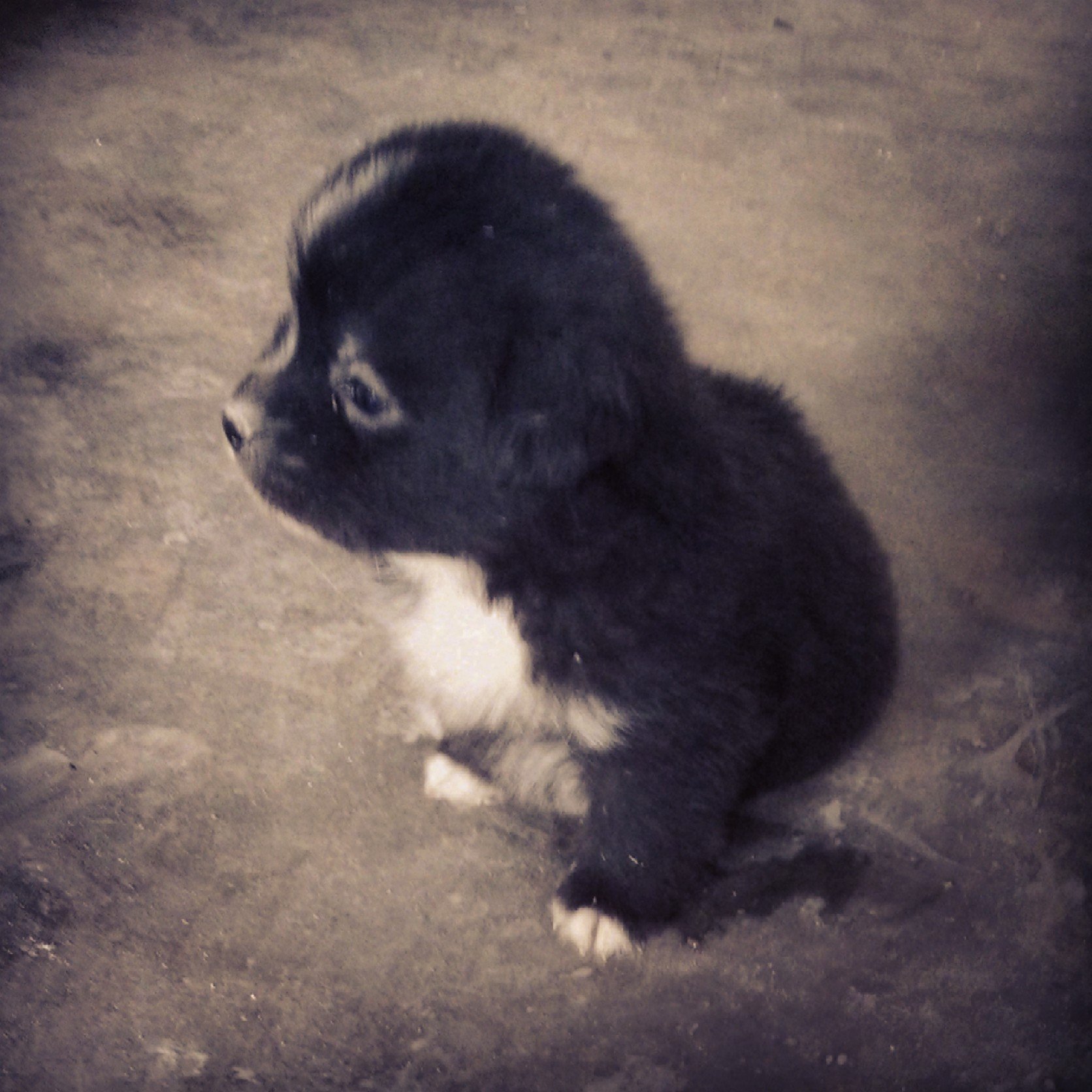 miejue123's profile picture. Love EXO,love Sehunnie