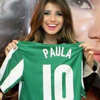 Não se preocupe, as pessoas jogam pedras em coisas que brilham.

@TaylorSwift13 , @PaulaFernandes7