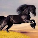 Nasser Hamad (@1967Hamad) Twitter
