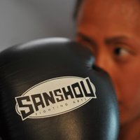 Sanshou Fighting Art (@sanshou_fa) 's Twitter Profile