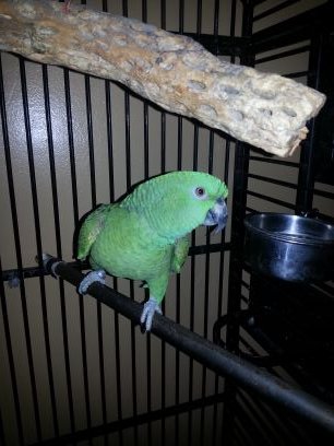 josetheboss2025's profile picture. 