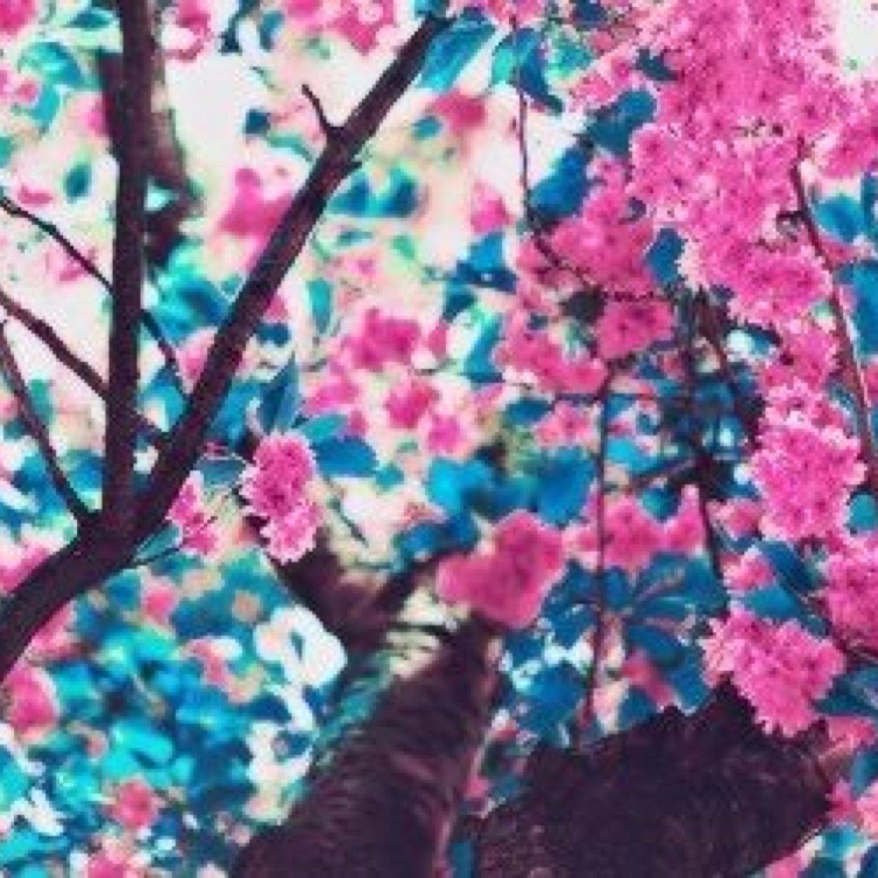 WesE3Stromberg's profile picture. 