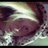 Jessica99569301's profile image
