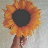 f- (@fooofofoofo1) 's Twitter Profile