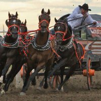 Roger Moore (@mooreracing007) 's Twitter Profile
