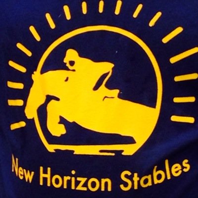 New Horizon Stables is a hunter/jumper equitation facility. We specialize in lessons, leasing, and boarding. Our trainers are Larry Russo and Laurie Overton.