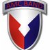 The AMC Band (@amcarmyband) Twitter profile photo