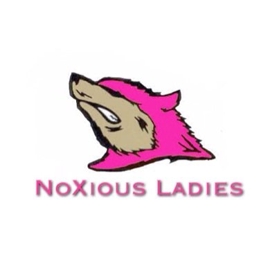 Female Competitive Team for @NoX_eSports Sponsored by @BattleBeaverC @Cinchgaming @Fullscreen @TheCODCombat @StarDesigns @NoScopeGlasses