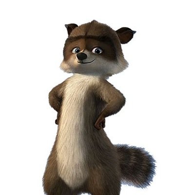 The names RJ,I'm the ring leader of my animal misfists,best friend is Verne #OverTheHedgeRP and I AM NOT ROCKET RACCOON