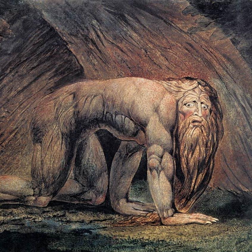 DMARGARI1's profile picture. 