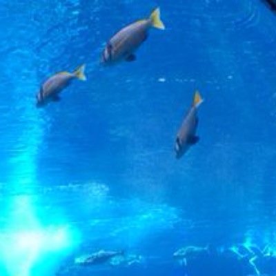 ahmdddd4's profile picture. العين والصدق اقل شيء يجرحهما