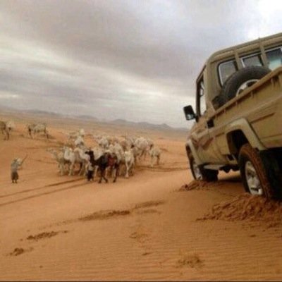 : شاعر ولد شيخً تربا على الطيب& كم راس شيخً وقت المعارگ حذفناه الشاعر/بدر العتيبي