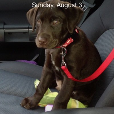 Tuggerspati's profile picture. I love people , phillies and having fun