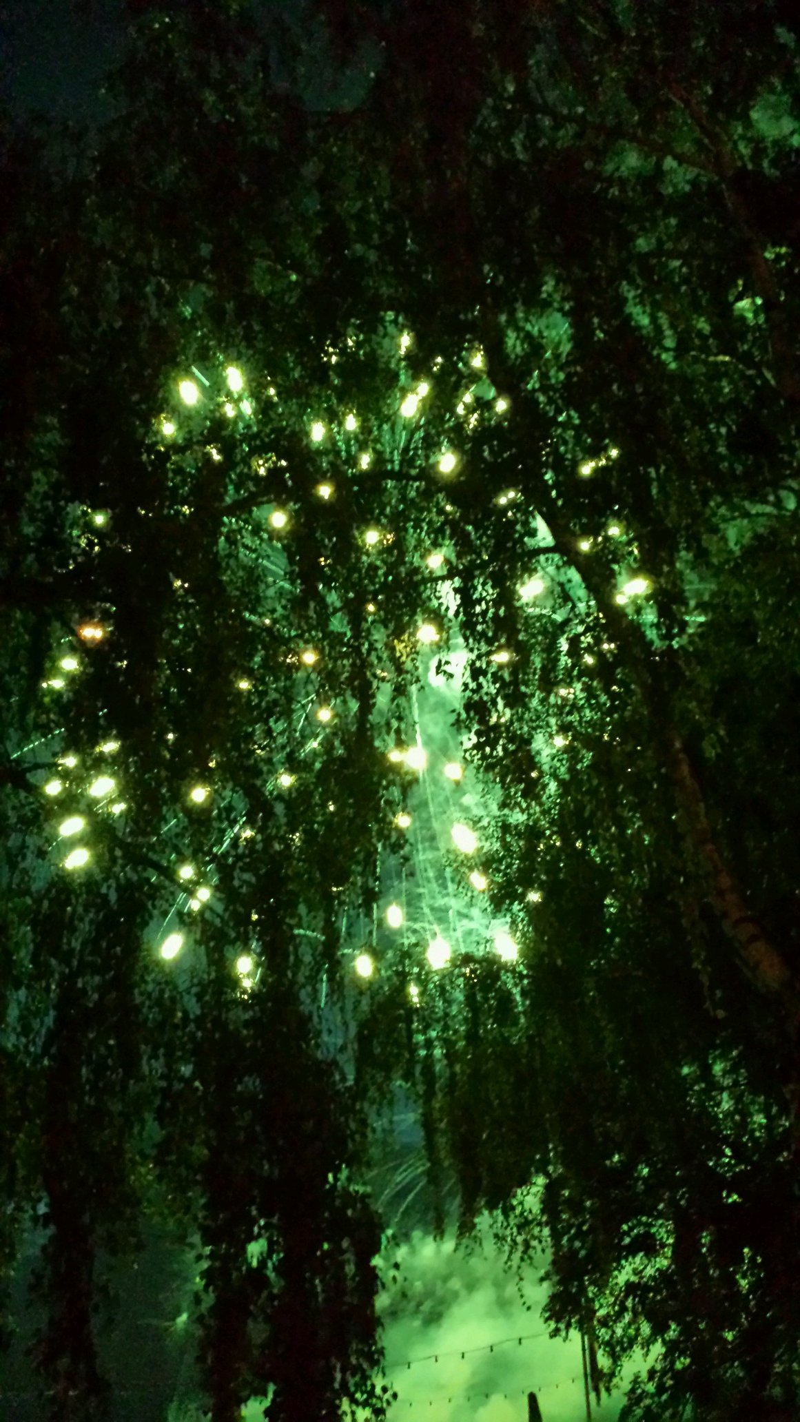 luca_maynard's profile picture. 