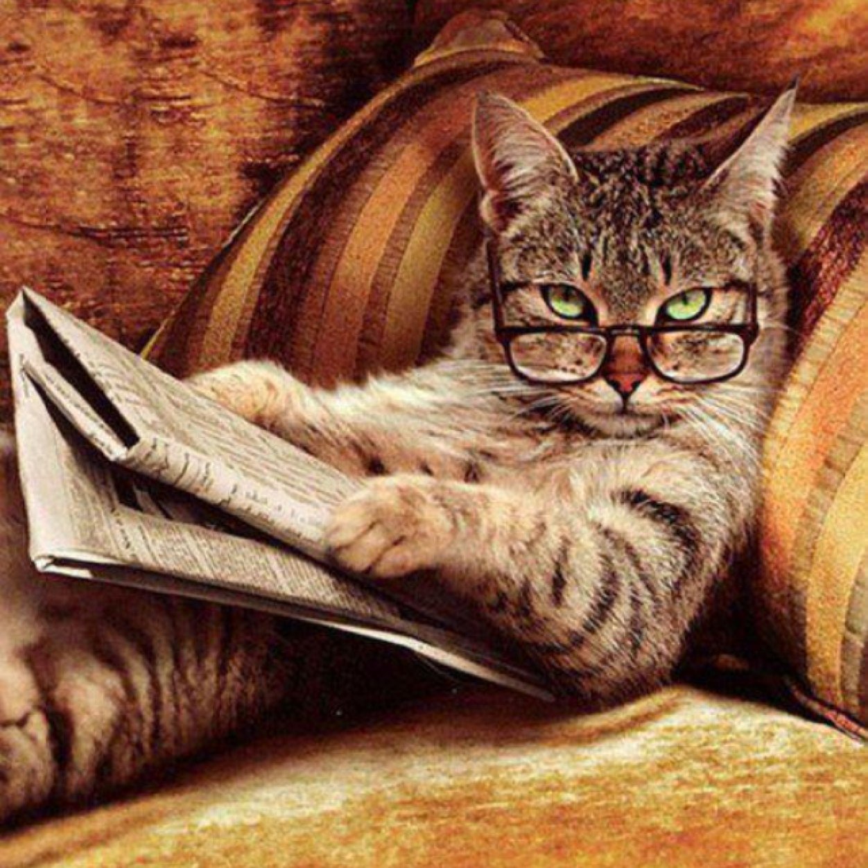 O_nist's profile picture. 