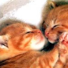 LuluNews21's profile picture. 