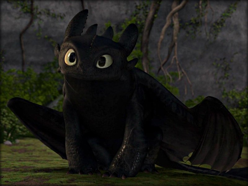 Rwar purr~ (I'm Toothless, the last of the Night Furys. My best friend is Hiccup, he helps me to fly as I cannot do it alone! Nice to meet you~)
