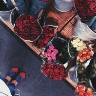 Borned in 23jan..
live in shj
I like to Write my blog tk keep it as a memories of my life♥♡
