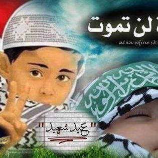 abahdiaf's profile picture. 