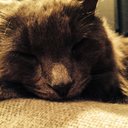 Maggie Leonard - @Maggieleonard15 - Twitter