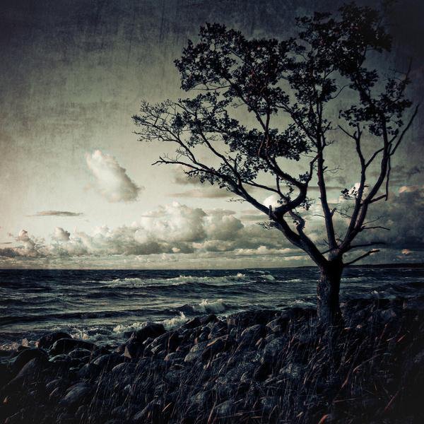 ISeaTheShore's profile picture. We play music! Uploads coming soon! Follow us! @jaysunls @MarcOfTheBeats @ISeaTheCore