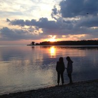 Cheryl DAmico (@cdamico_mms) 's Twitter Profile