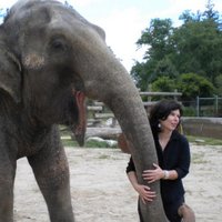 Vicki Croke (@vickicroke) 's Twitter Profile