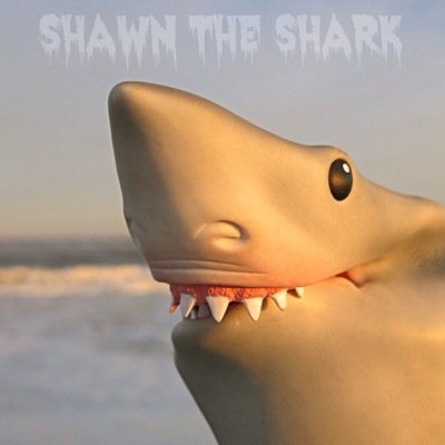 Helping to raise awareness about the importance of Sharks to our Ecosystem. Supporting all animal rights!