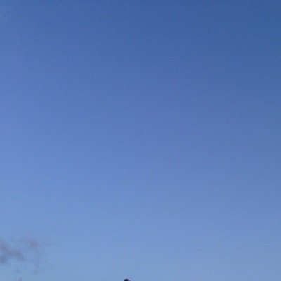 liquid_claire's profile picture. Workaholic. Runner. Berlin