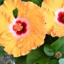 Lisa Embry - @lisa_embry_76 - Twitter