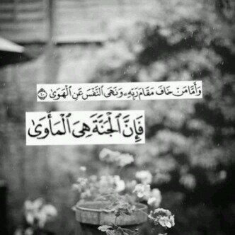 سبحان الله وبحمده سبحان الله العظيم... follow me =follow back.